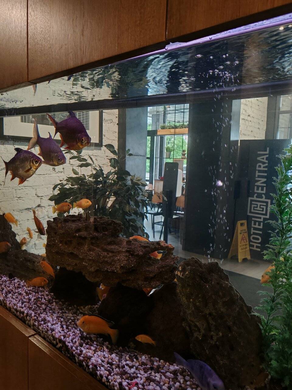 Фото Гостиницы Центральный Барнаул 208