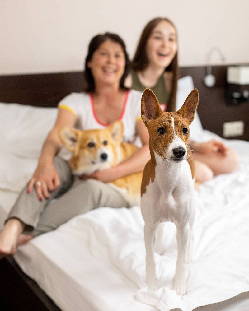 Фото Гостиницы Центральный Барнаул 9